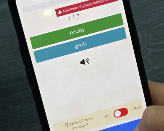 Úspěch němčinářů v soutěži WocaBee