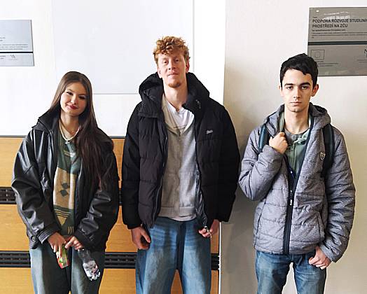 Žáci rozumějí anglickému textu